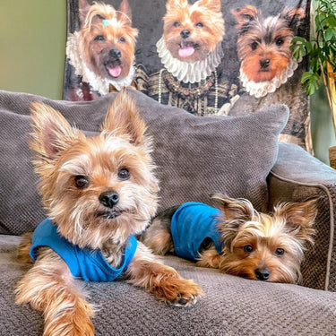 The Three Queens - Custom Pet Blanket