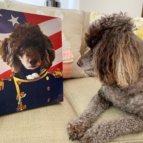 Crown and Paw - Canvas The Admiral - USA Flag Edition - Custom Pet Canvas