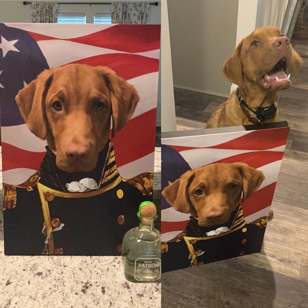 Crown and Paw - Canvas The Admiral - USA Flag Edition - Custom Pet Canvas