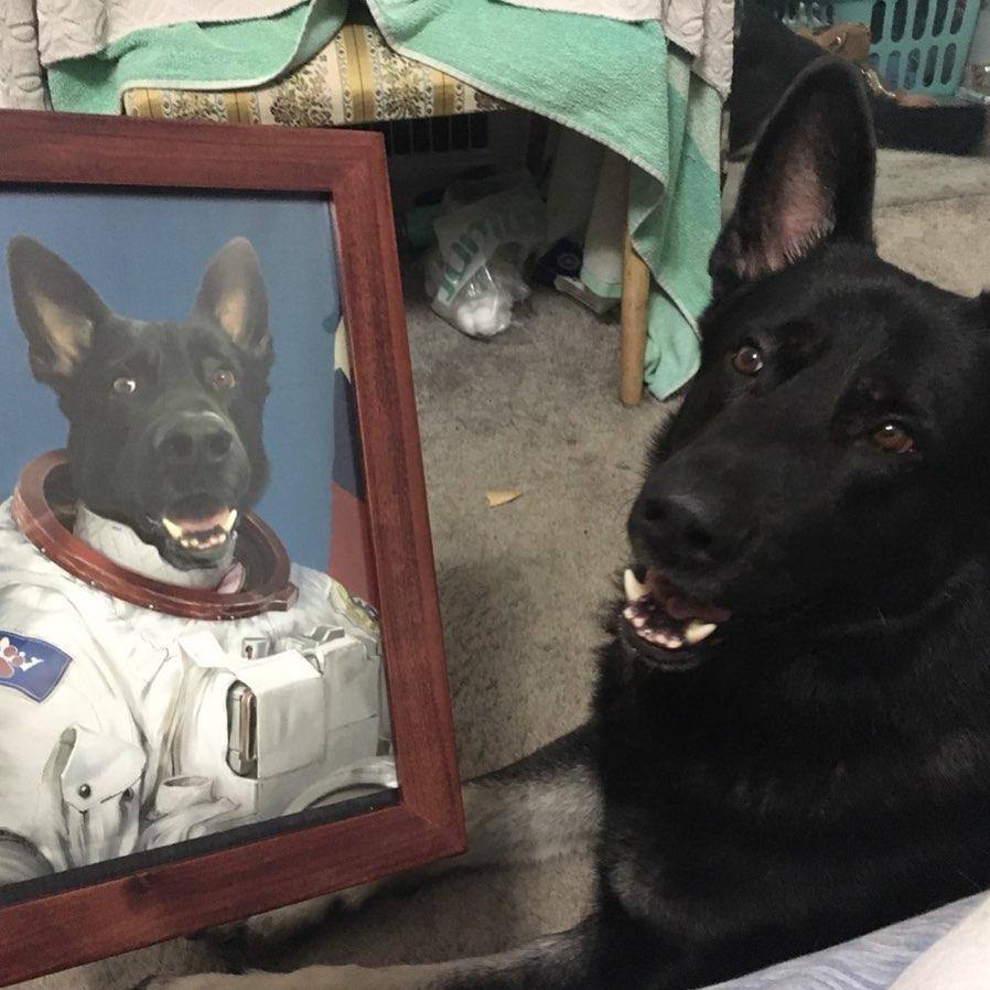 Crown and Paw - Poster The Astronaut - Custom Pet Poster
