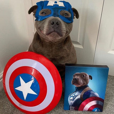 Captain Pawmerica - Custom Pet Canvas