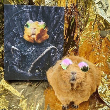 The Lone Wolf - Custom Pet Canvas