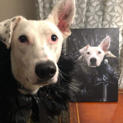 Crown and Paw - Canvas The King in the North - Custom Pet Canvas