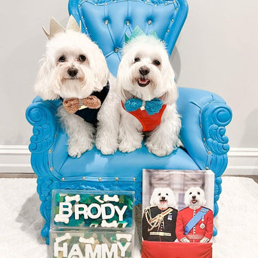 The English Princes - Custom Pet Canvas