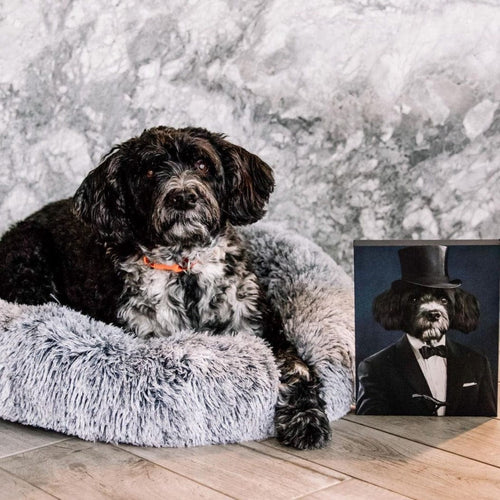 Crown and Paw - Canvas The Gentleman - Custom Pet Canvas