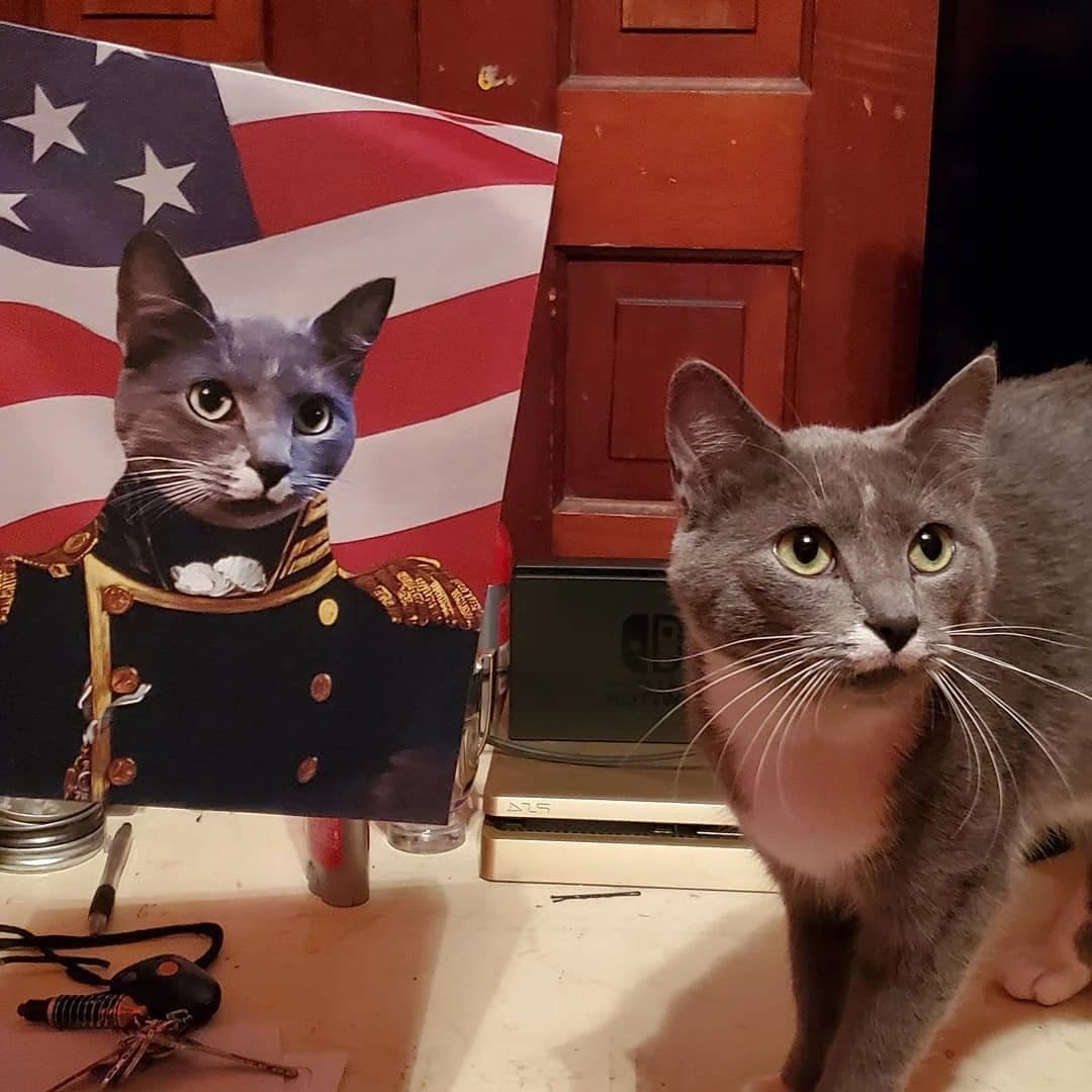 Crown and Paw - Canvas The Admiral - USA Flag Edition - Custom Pet Canvas