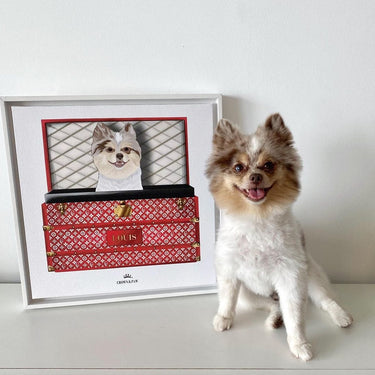 Super Red Luxury Trunk Pet Portrait