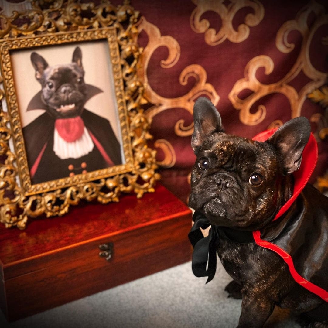 Crown and Paw - Poster The Vampire - Custom Pet Poster
