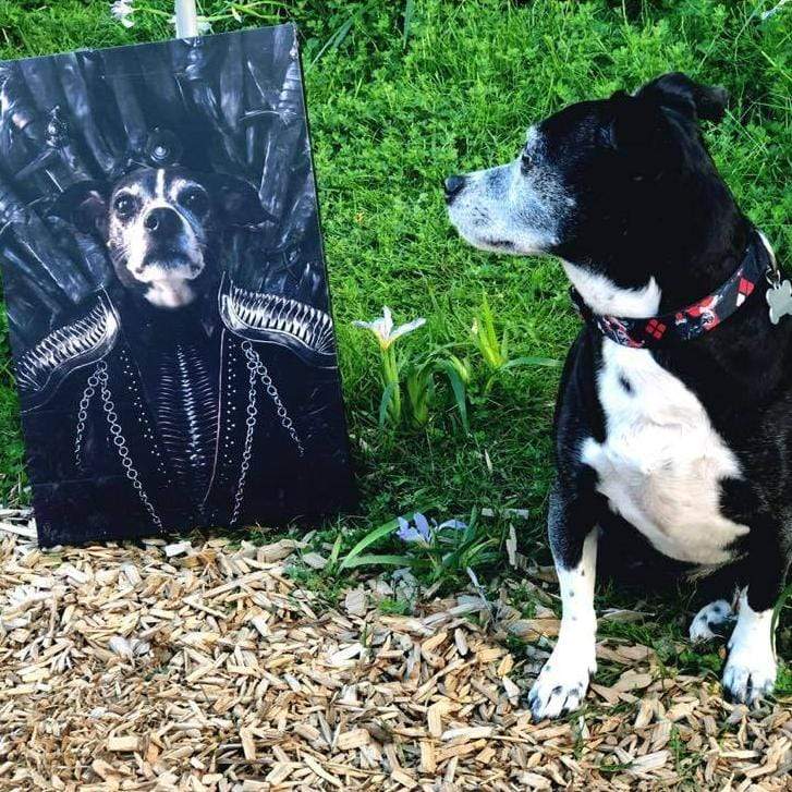 Crown and Paw - Canvas The Queen of the Seven Kingdoms - Custom Pet Canvas