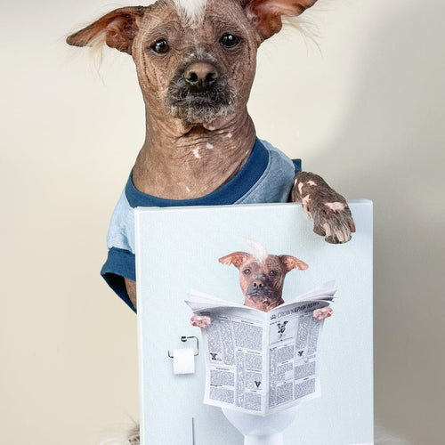 Crown and Paw - Canvas Restroom Pet Portrait - Custom Pet Art