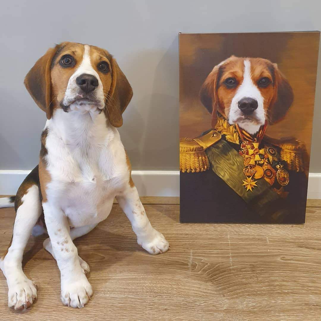 Crown and Paw - Canvas The Colonel - Custom Pet Canvas
