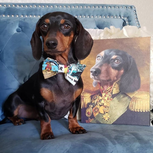 Crown and Paw - Canvas The Colonel - Custom Pet Canvas