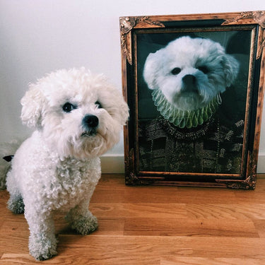 The Dame - Custom Pet Poster