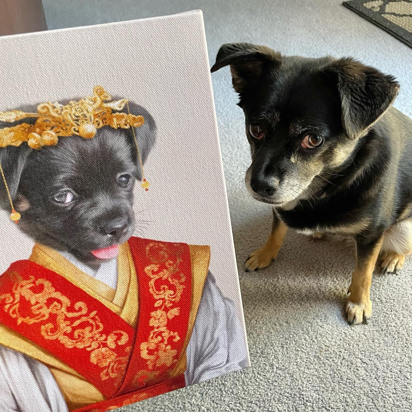 Crown and Paw - Canvas The Asian Empress - Custom Pet Canvas