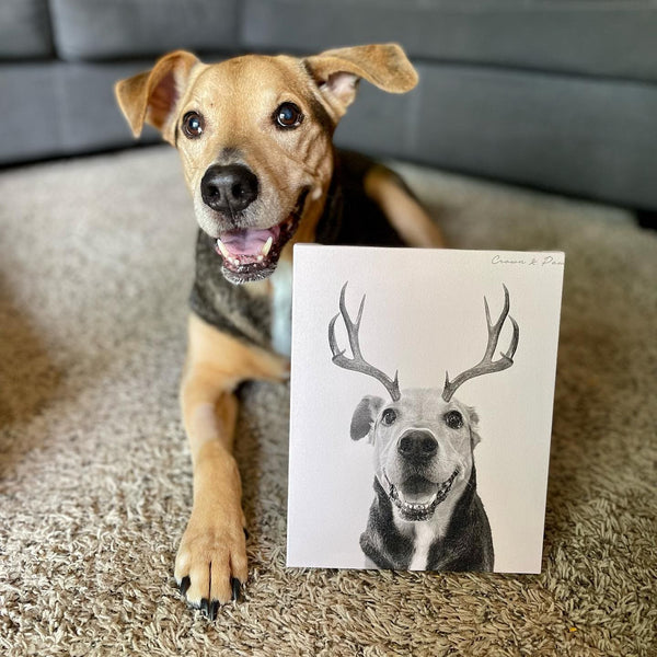 Elk Antlers Pet Portrait - Custom Canvas